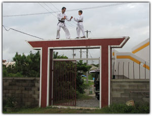 Tori Gate